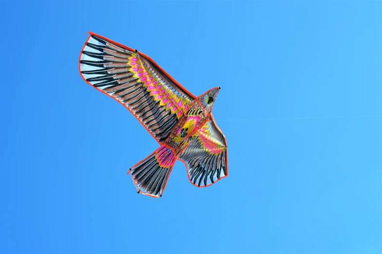 a kite designed like a bird flying in the sky