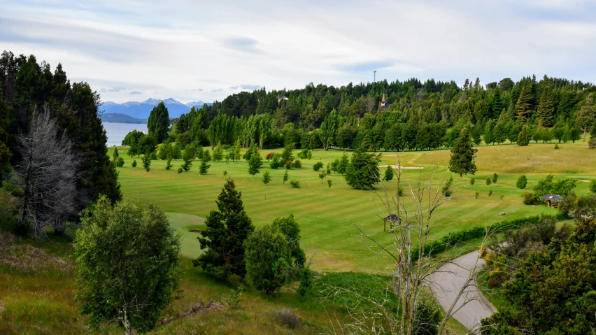 there is a green meadow surrounded by trees