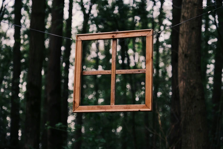 a window hanging in the woods with an unfinished wooden frame