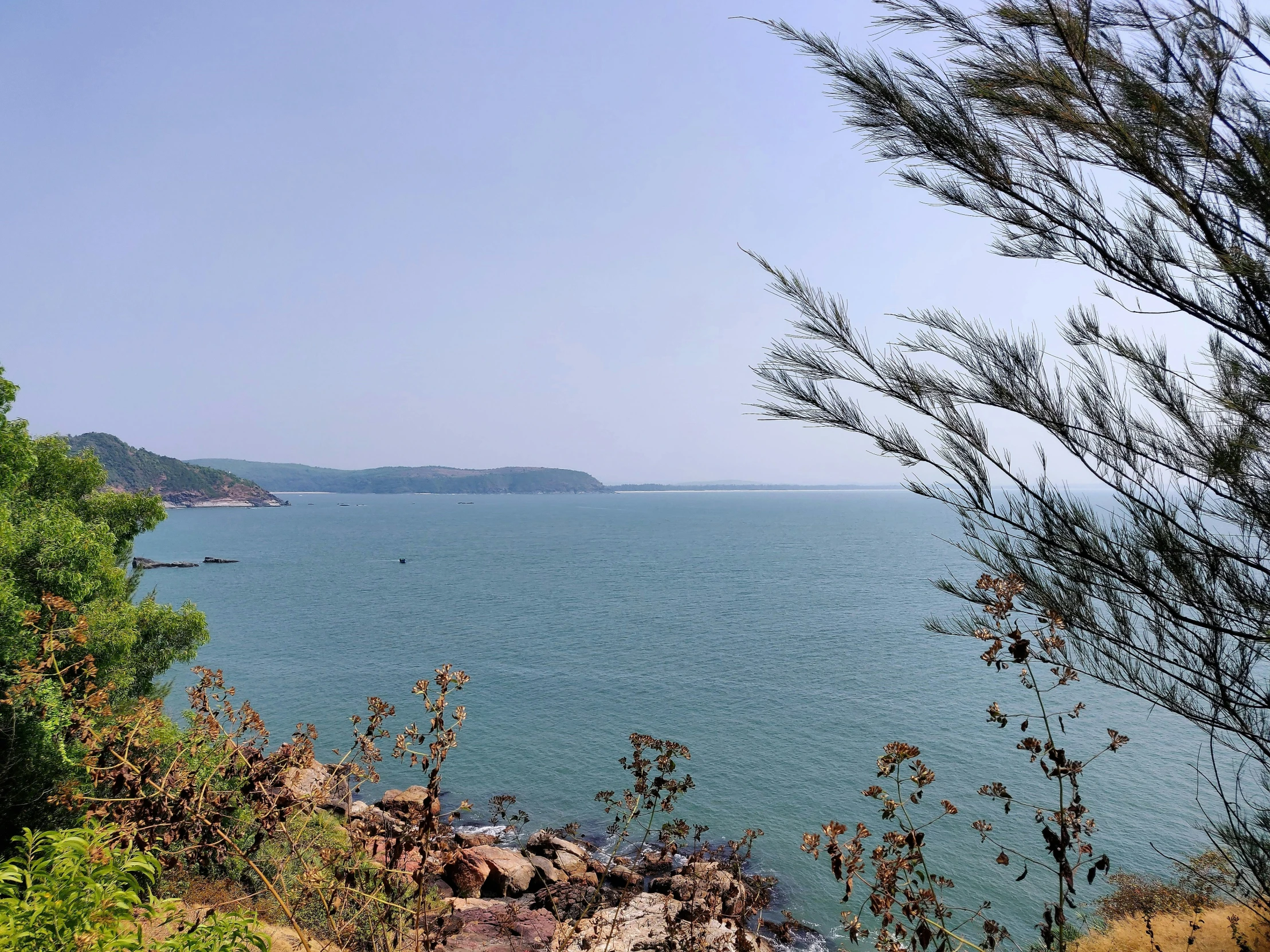 there is water near the shore with trees and bushes