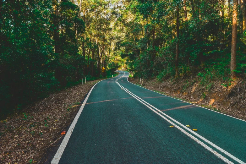 an empty street in the middle of a forest