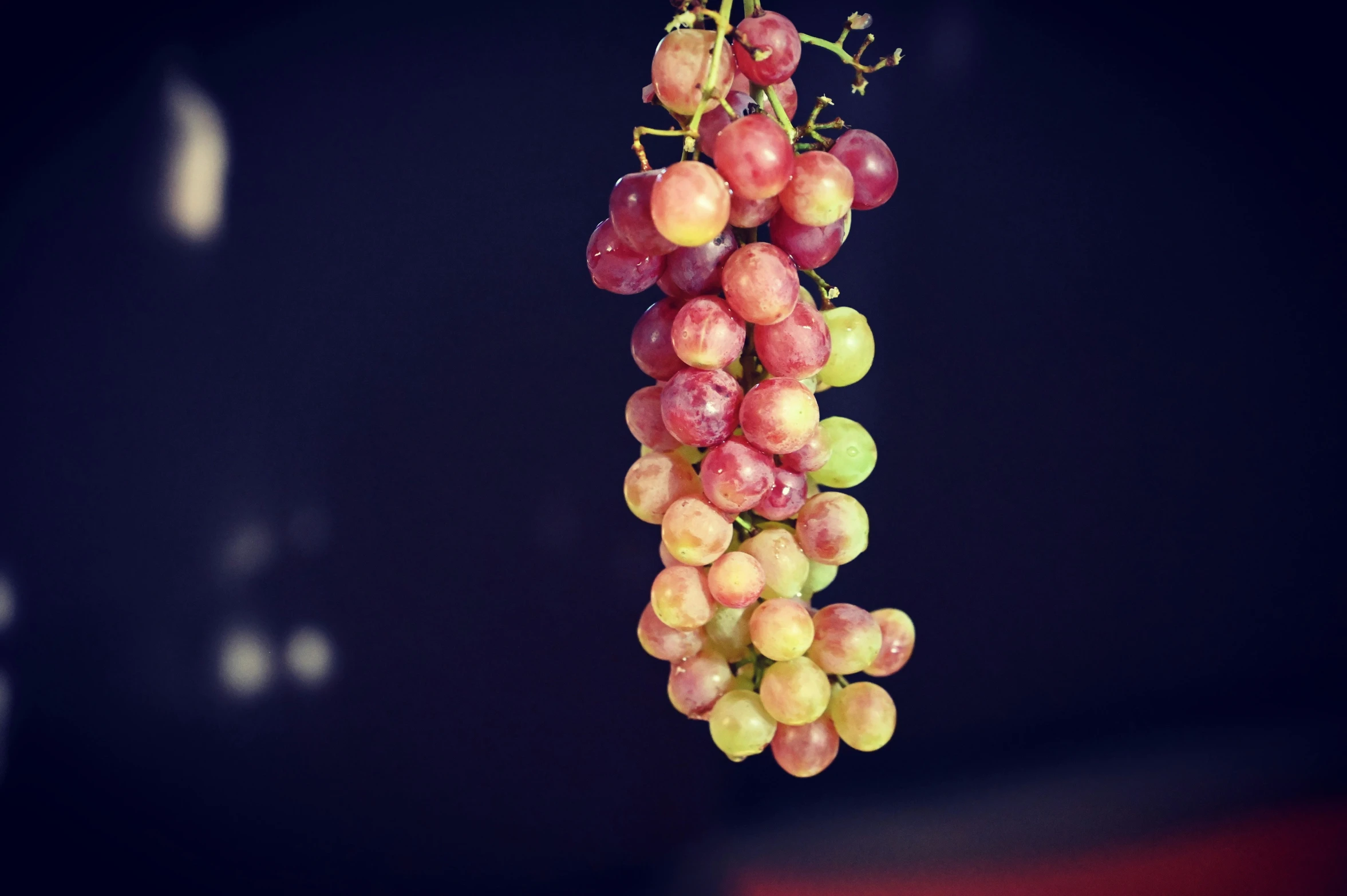 some gs hanging from the side of a fruit tower