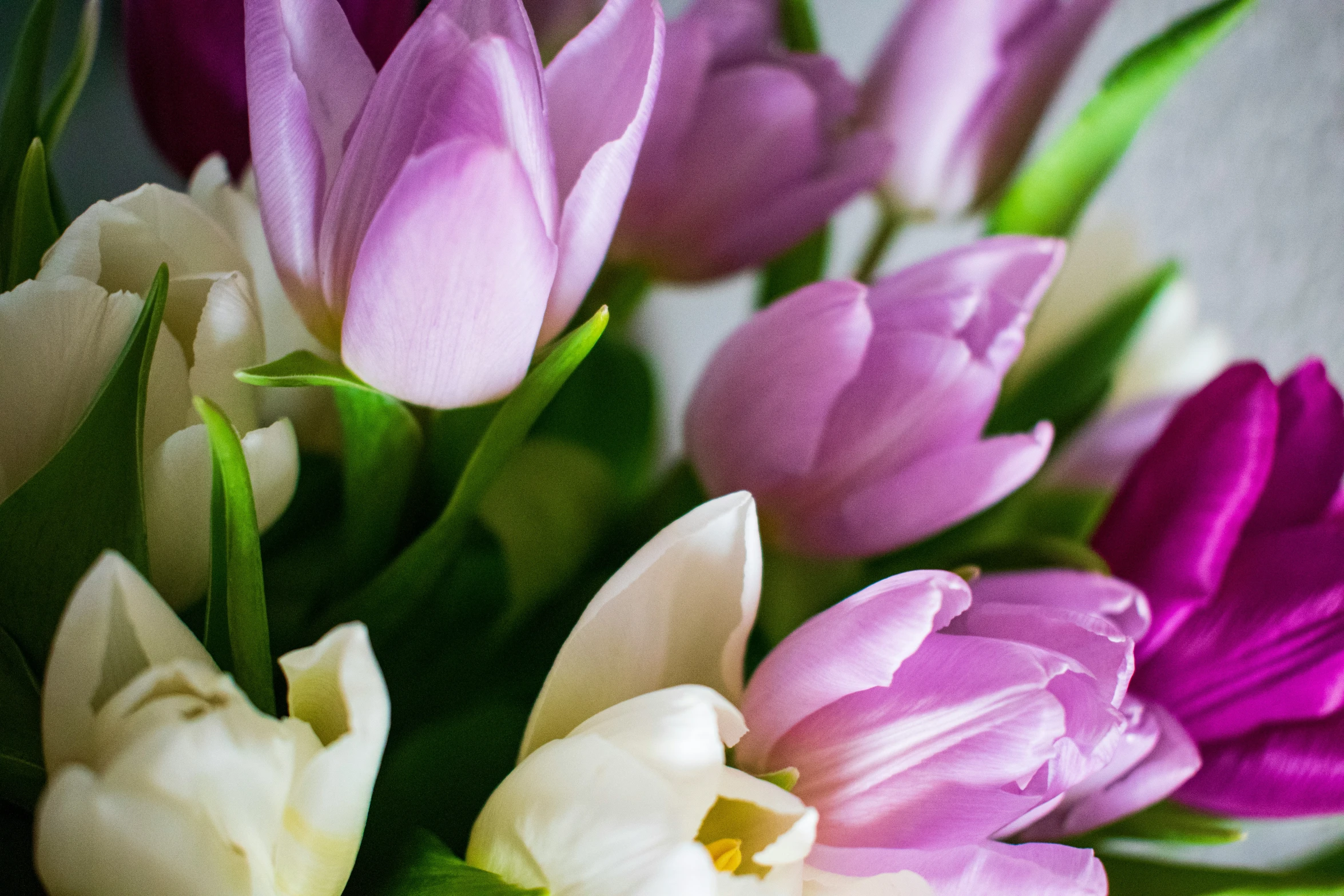 a bouquet of purple flowers sits in the corner