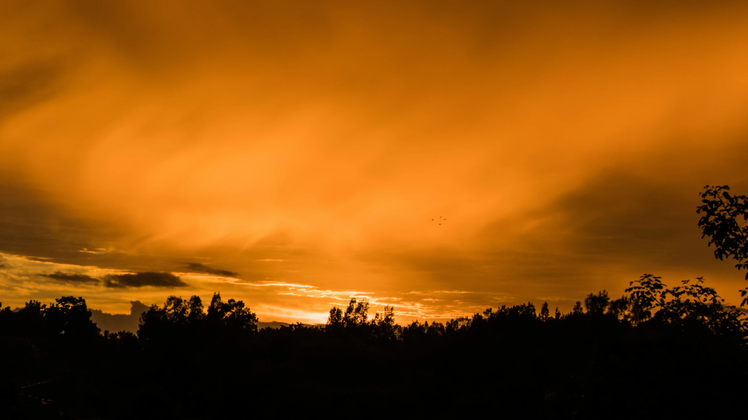 the sun shining through clouds over trees