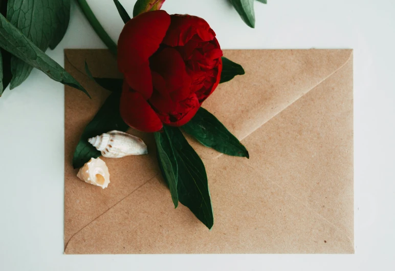 the flower is on an envelope that looks old
