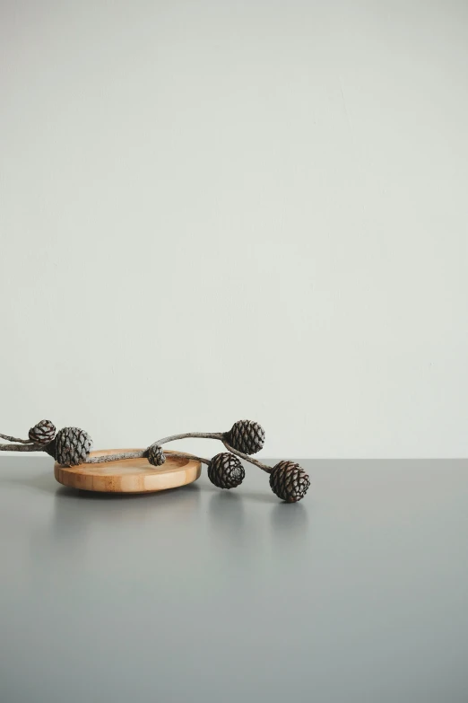 a wooden tray with three pine cones on top