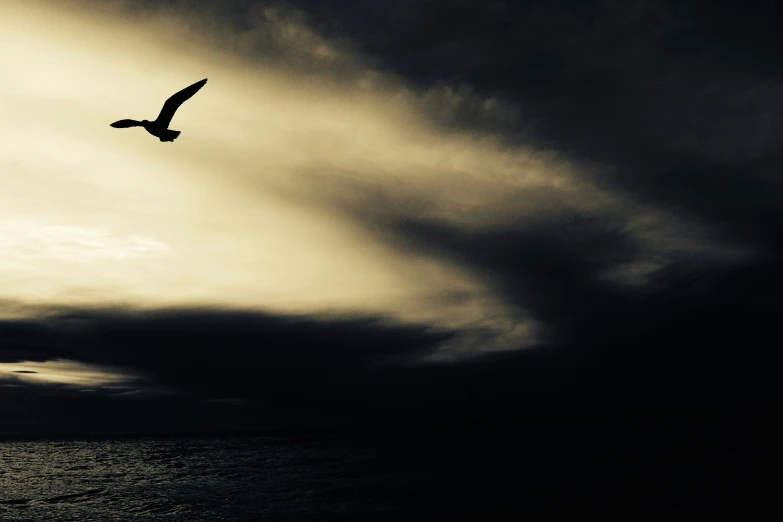 a bird that is flying in the sky over some water