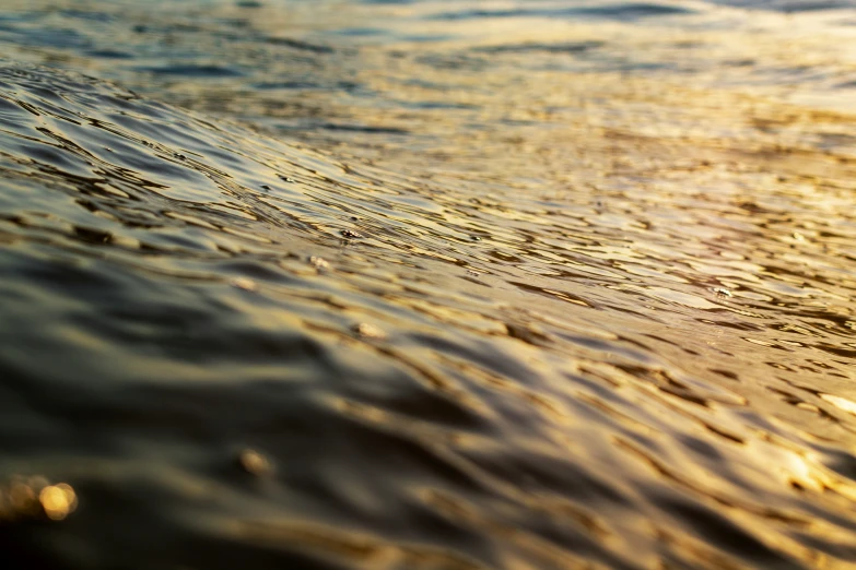 a body of water that is covered with very little waves