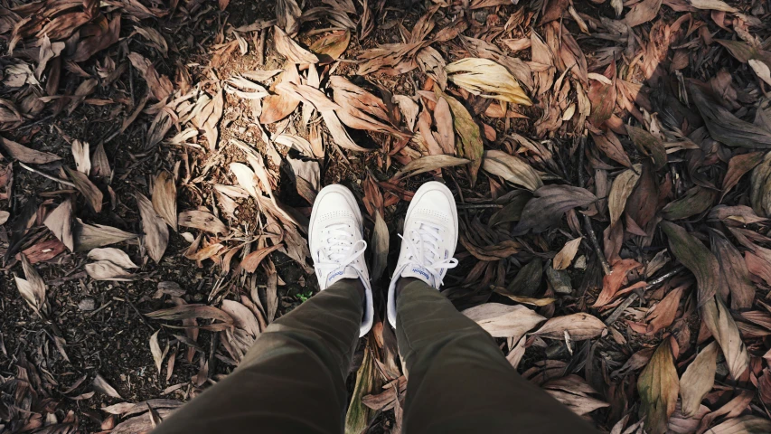 a person standing on leaves in the ground