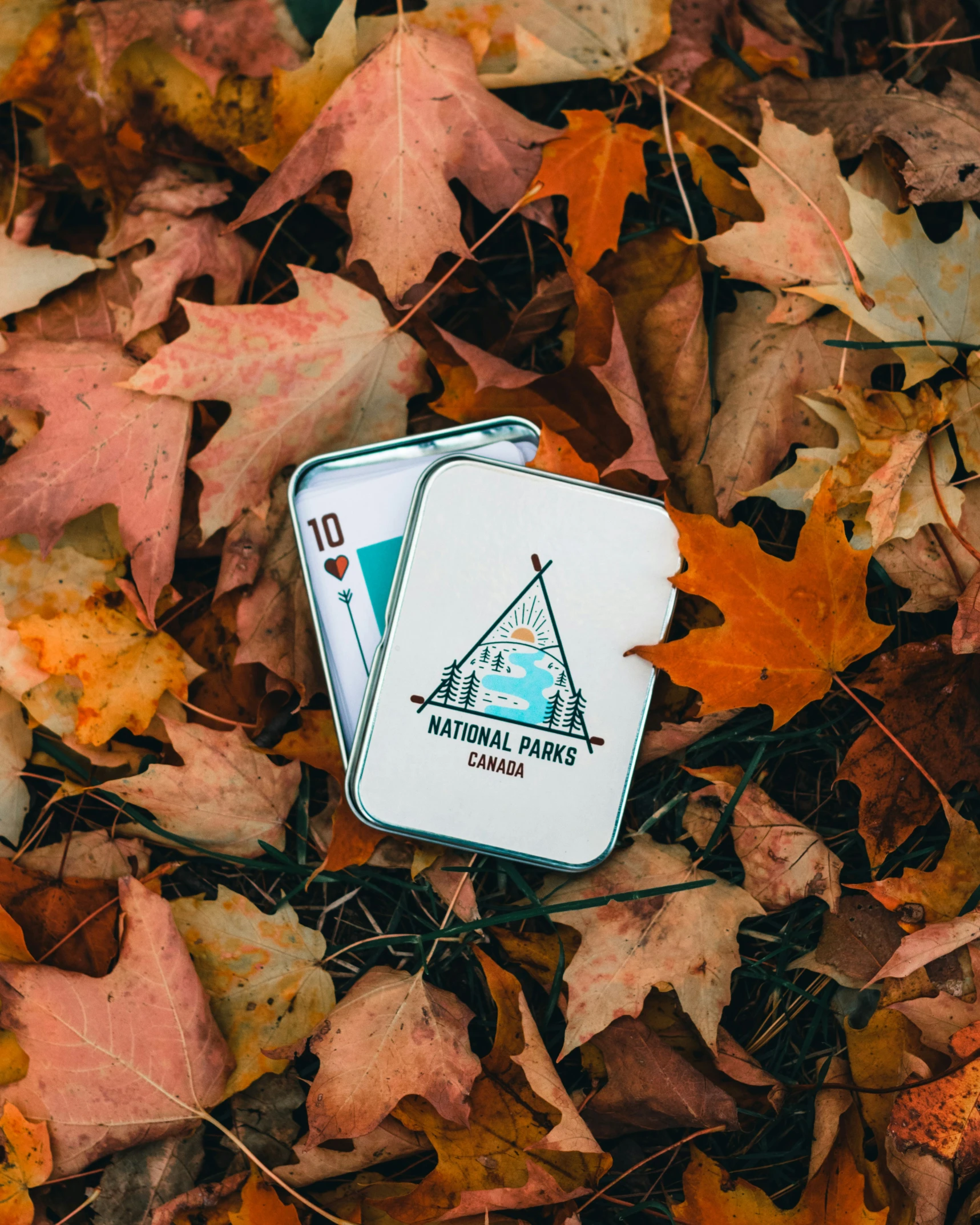 a tin can sitting on top of autumn leaves