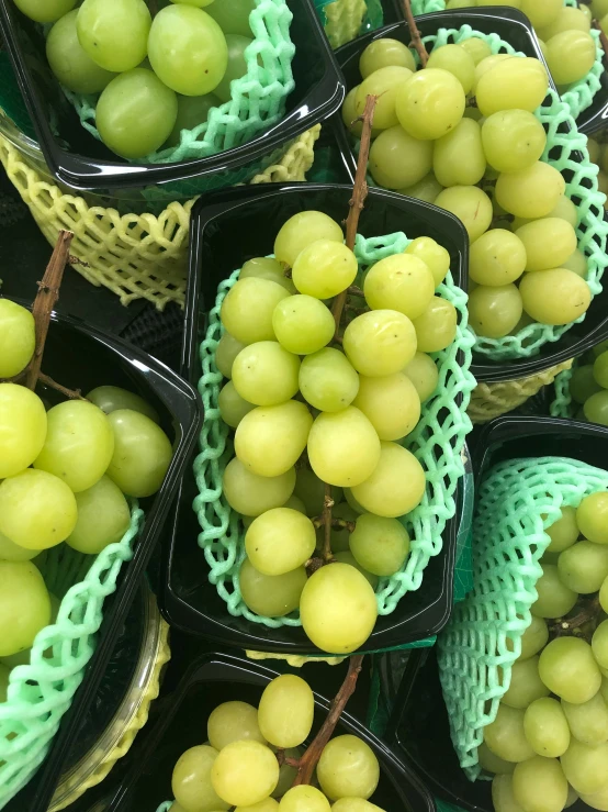 gs in their small baskets to be eaten