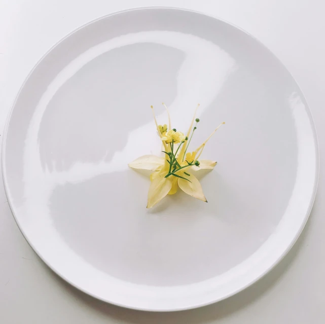 a small flower is in a white bowl