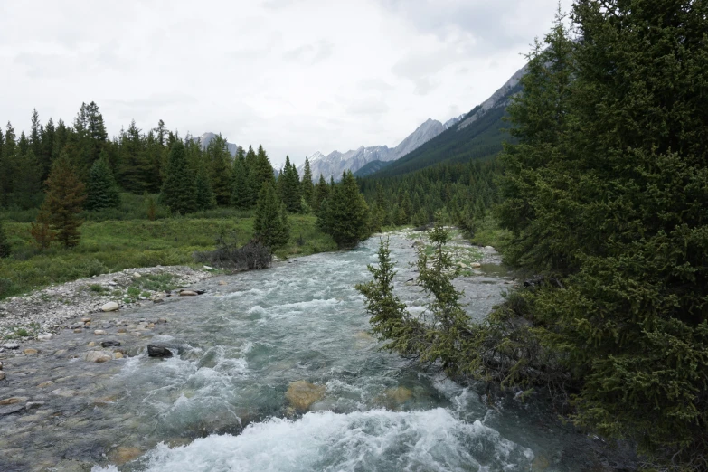 the water in the stream is blue and calm