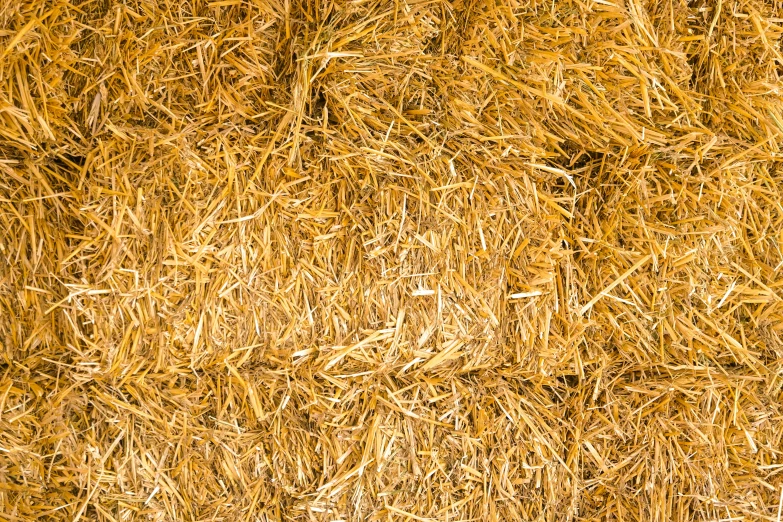 close up of some very thick and unpaved straw