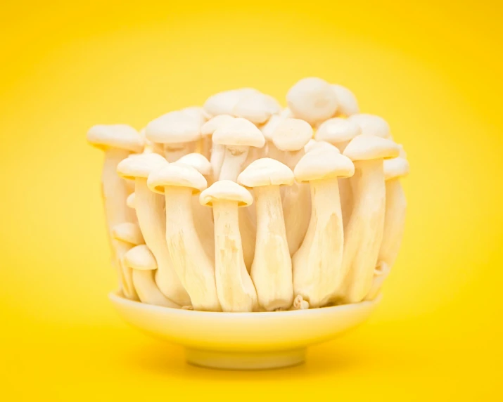 there are white mushrooms in a bowl on the yellow background