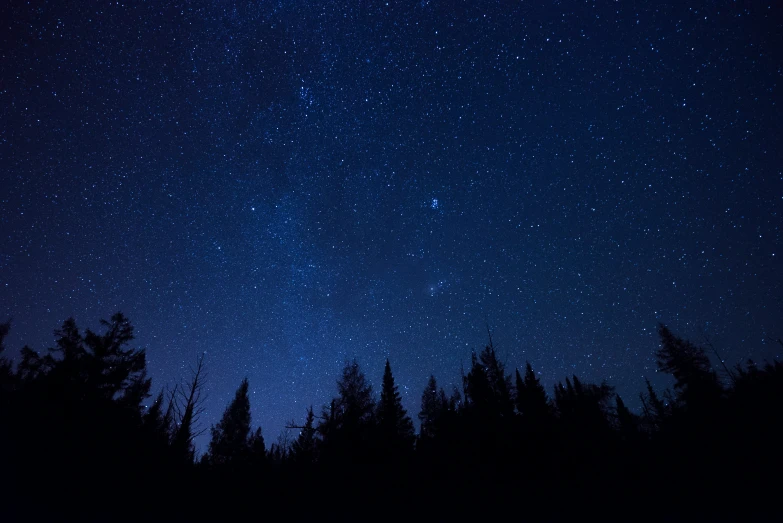 a blue sky with stars and some trees