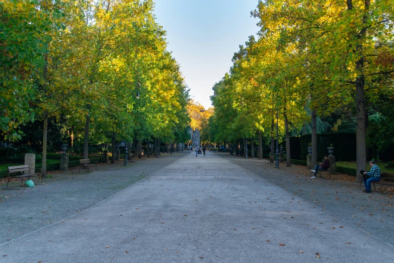 the street is full of people, trees and benches