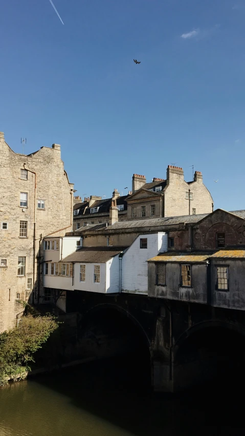 a bird flying over the bridge in the city