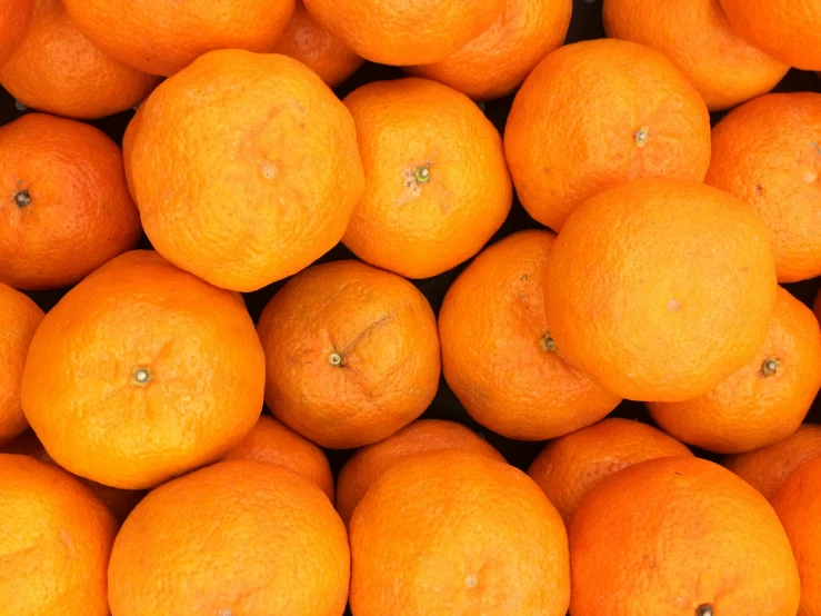 a pile of oranges piled together with white tips