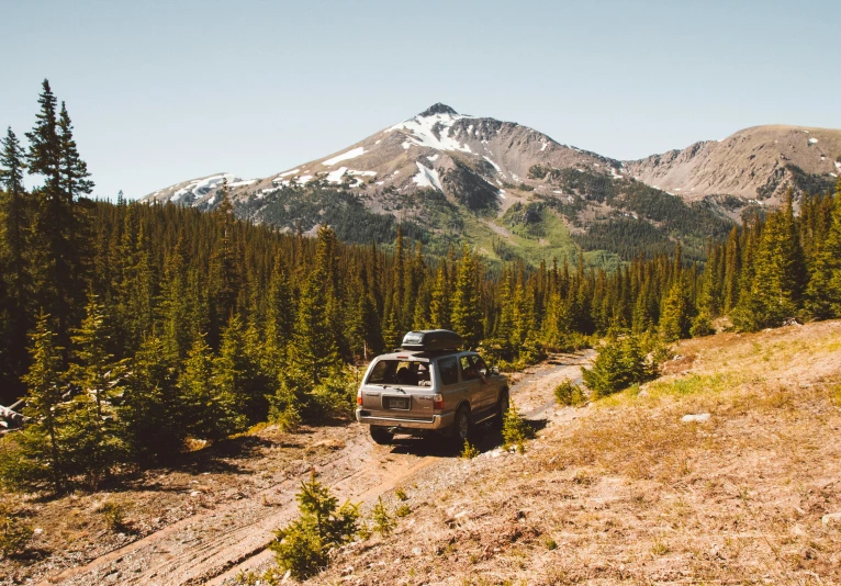 the jeep has turned off on a dirt trail in the woods