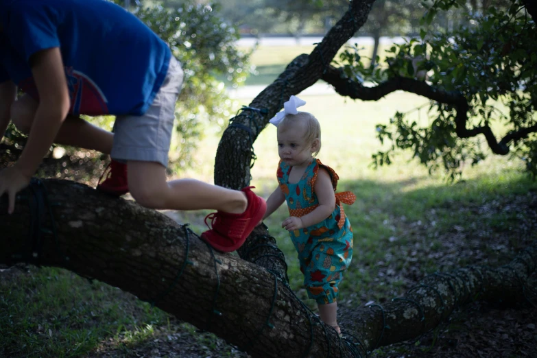 a  climbing on a tree with her dad