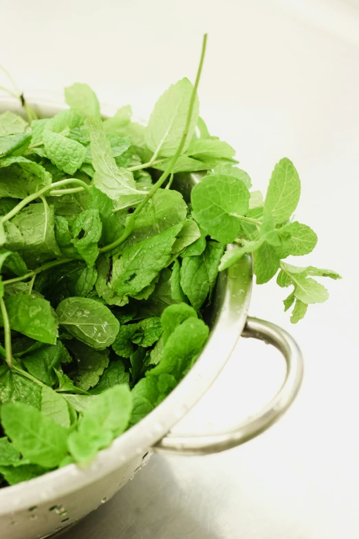 green leaves in a metal bowl on a white table