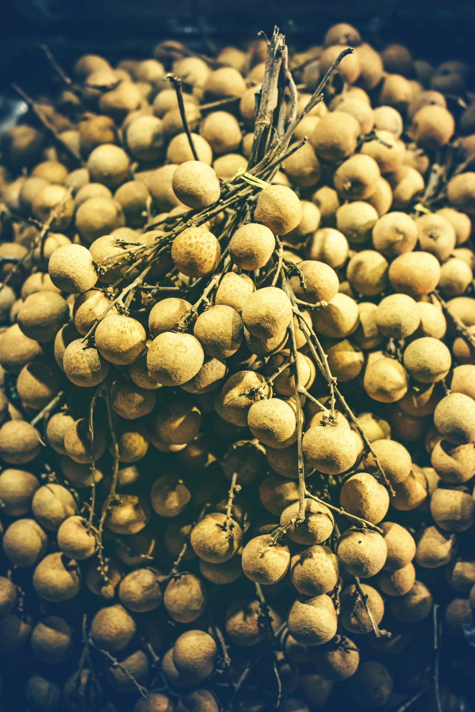 many oranges piled together and piled high in the air