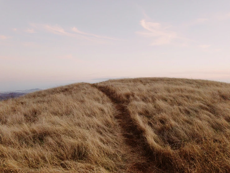 two giraffe standing on top of a hill