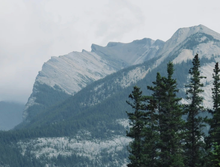 the mountain is covered in snow and is surrounded by evergreen trees