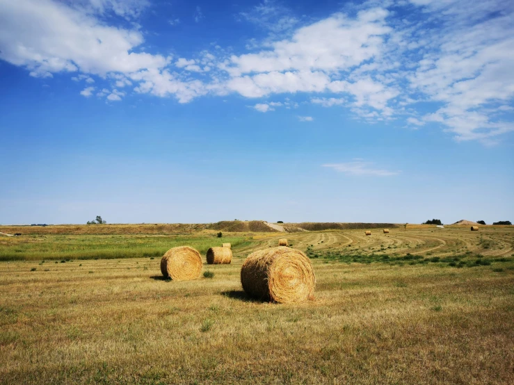 large bales of hay sit on a dry grass field
