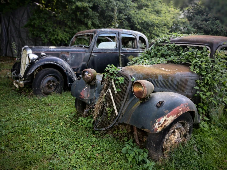 three old cars in the grass with weeds growing on them