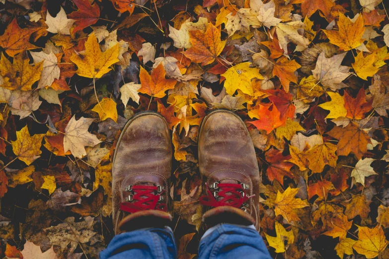 legs and shoes on the ground surrounded by leaves