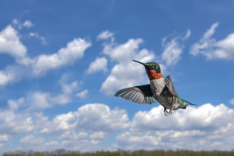 a bird flying through the air on top of clouds