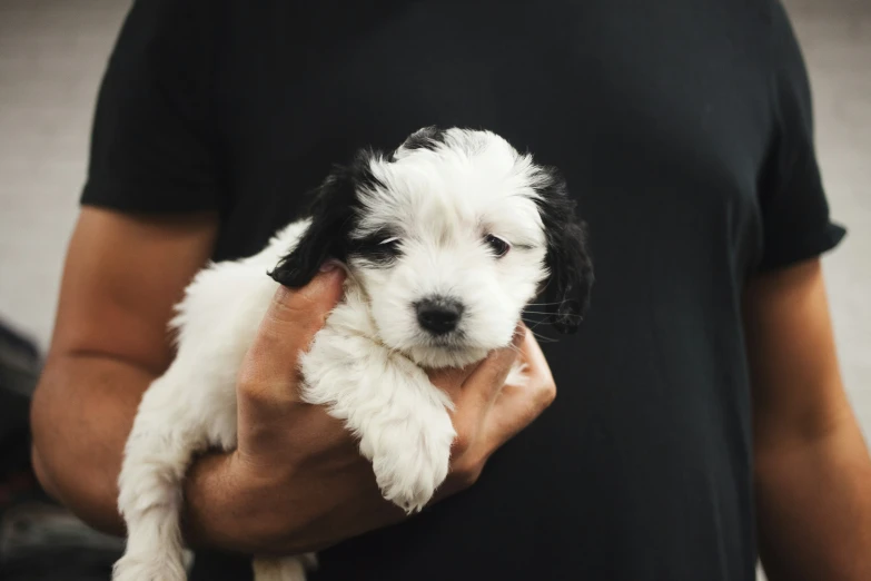 a man holding his puppy while he is in a black shirt