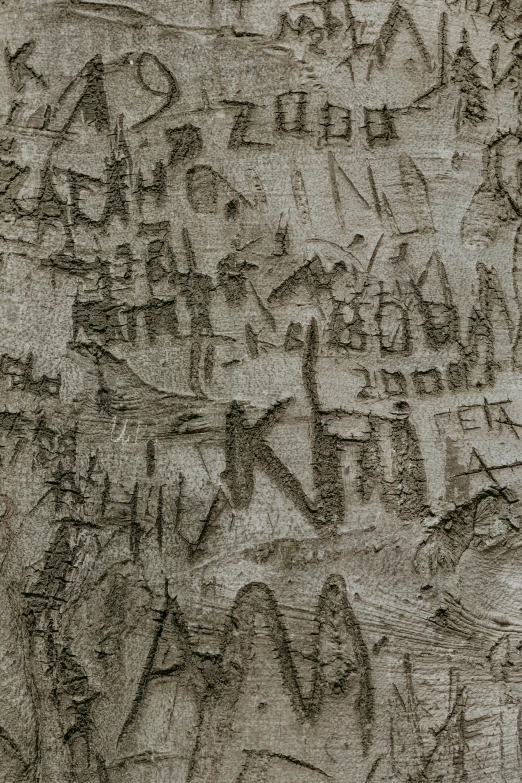 several large writing on a stone wall with tree stumps