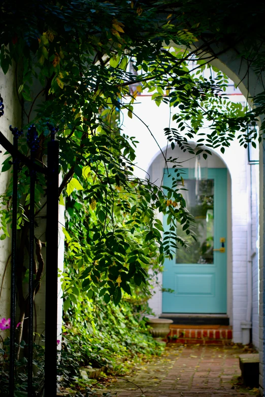 the blue front door to an apartment building