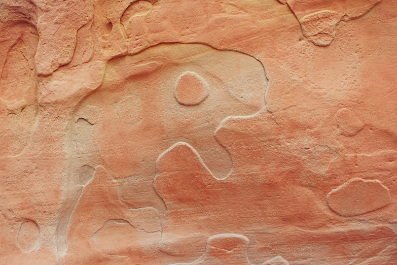 an elephant carved into the side of a rock with an animal drawn on it