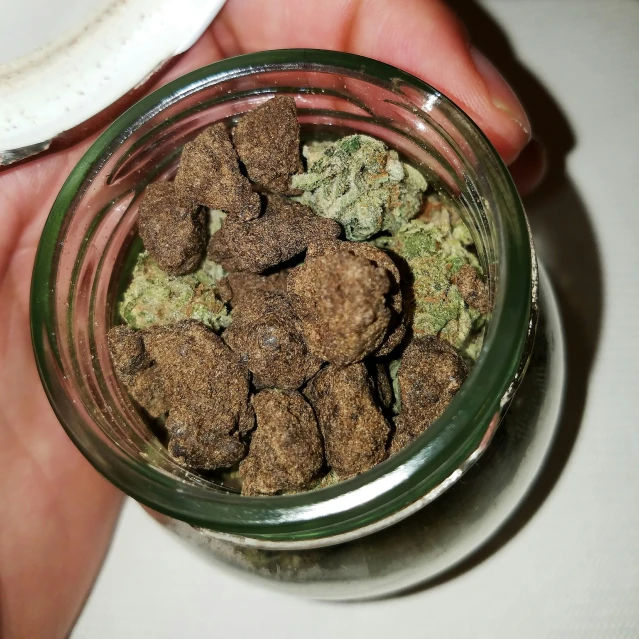 a hand holding a glass jar filled with cannabis buds