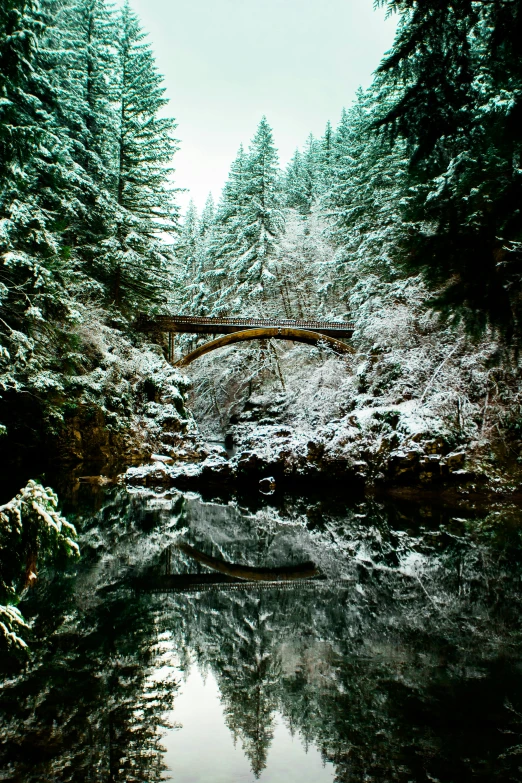 a bridge is in the woods and covered with snow