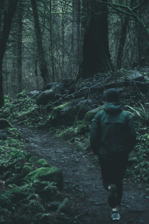 man jogging on a trail through the woods