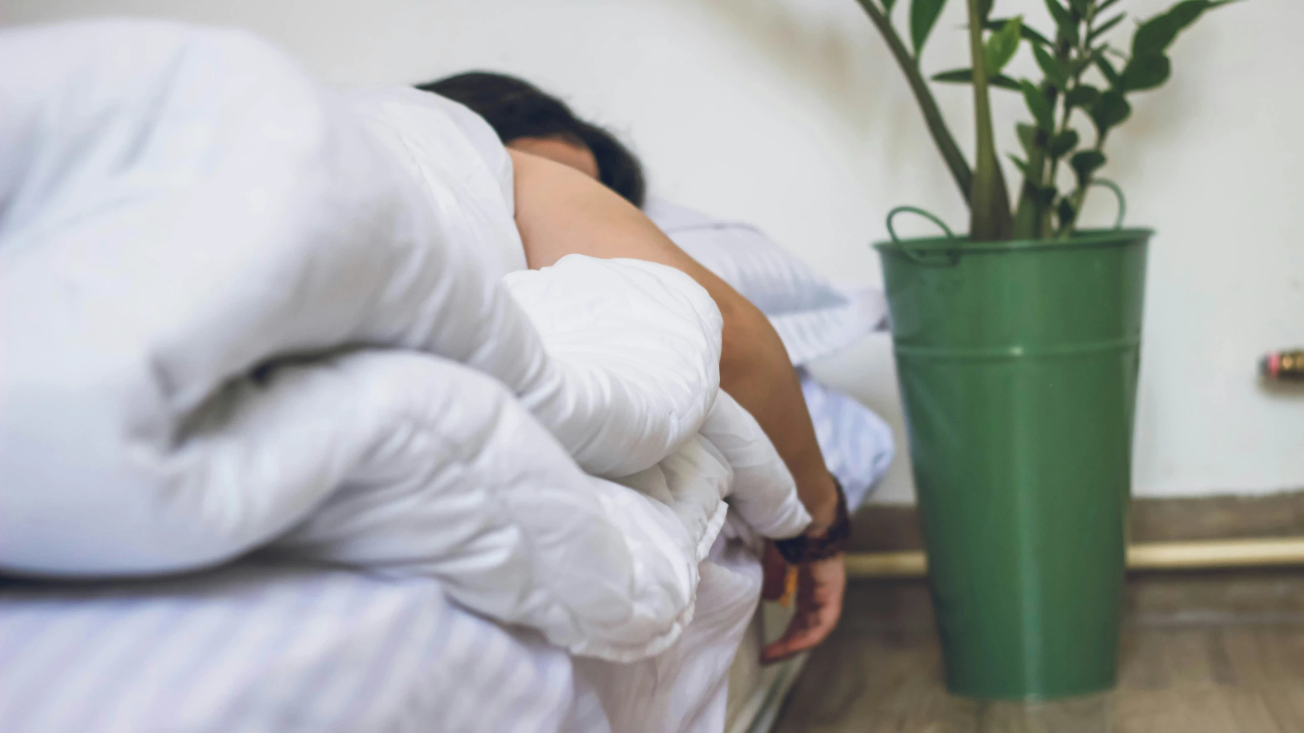 a woman sleeping on the bed next to a tall plant