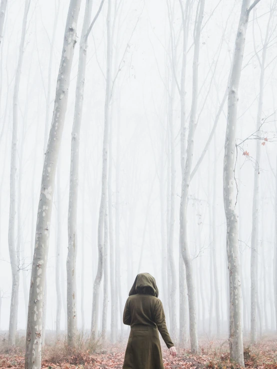a hooded man standing between two trees on a foggy day