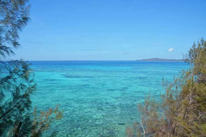 a body of water next to a lush green forest