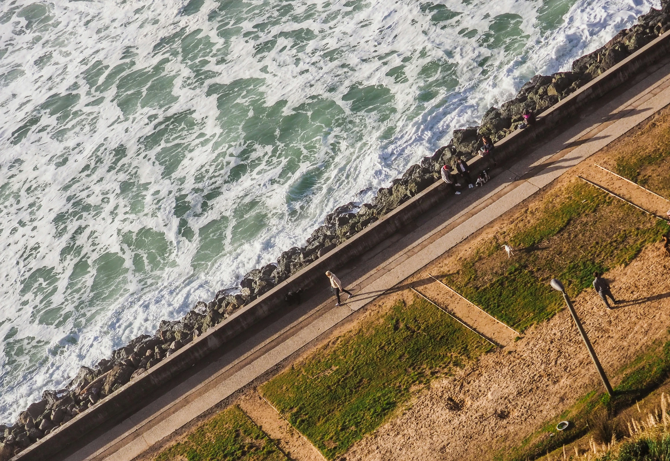 seagulls sitting along the side of a road by the ocean