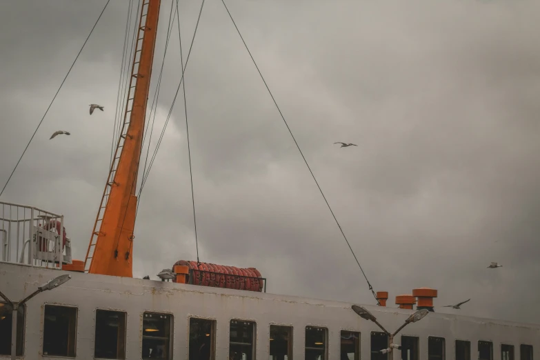 birds fly around a white building under construction