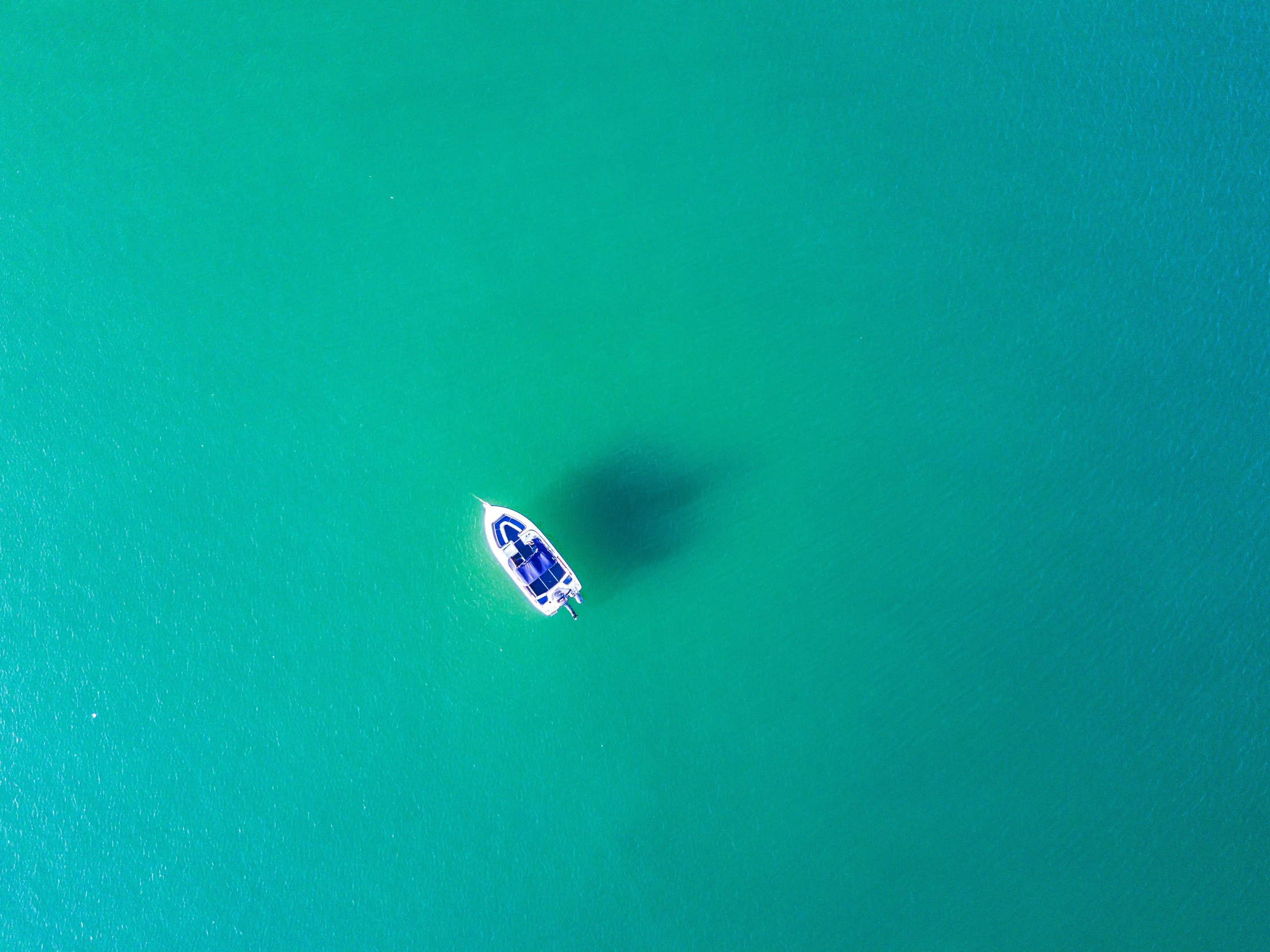 a white boat on the ocean on a green sea