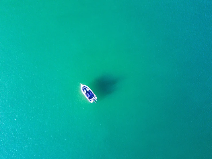 a white boat on the ocean on a green sea