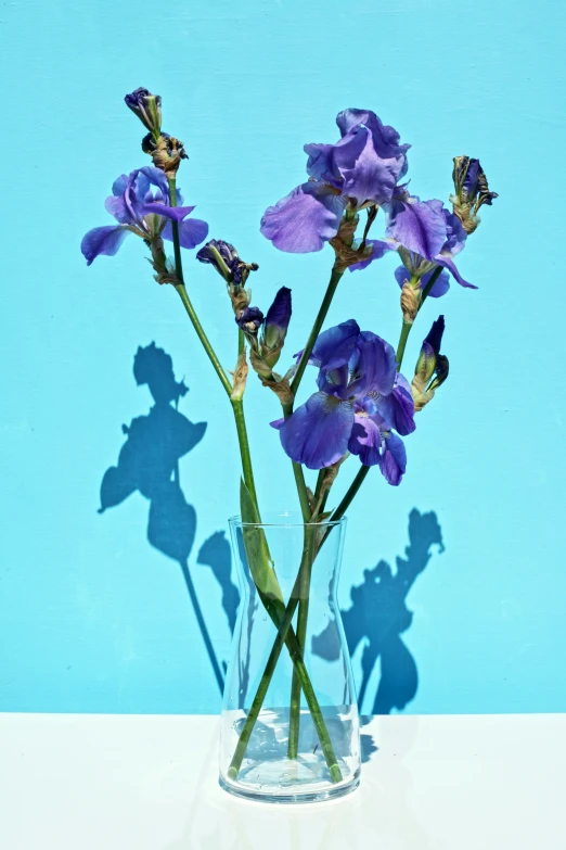 three purple flowers in a clear glass vase