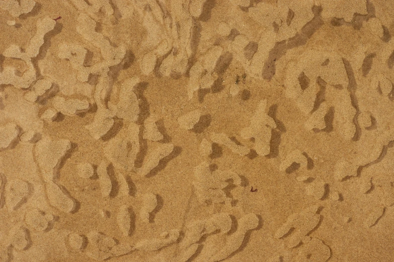 traces in sand that look like people are making a face