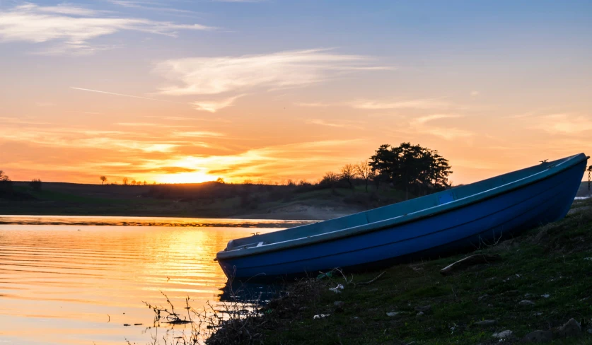 blue and white row boat docked at edge of body of water